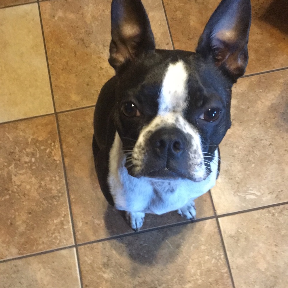 Meet your Posher, Sonya